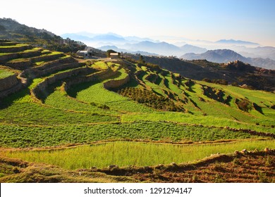 Agriculture In Al Mahwit, The Capital City Of Al Mahwit Governorate, Yemen. It Is Located At An Elevation Of About 2000 Metres