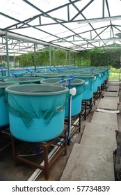 Agriculture Aquaculture Water System Farm Stock Photo 57734839 ...