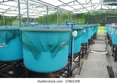 Agriculture Aquaculture Water System Farm Stock Photo (Edit Now) 57865198