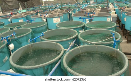 Agriculture Aquaculture Water System Farm Stock Photo 62072368 ...