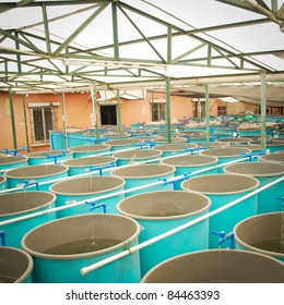 Agriculture Aquaculture Water System Farm