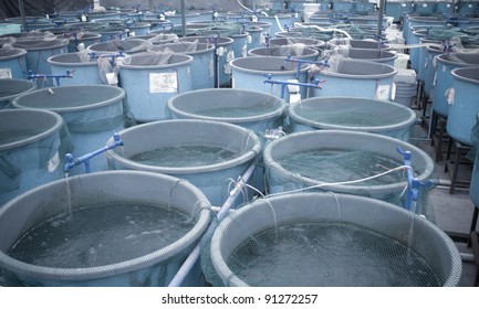 Agriculture Aquaculture Water System Farm