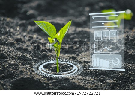 Agriculture and artificial intelligence technology in smart farm for monitoring seed and plants. Smart farming ai and precision agriculture