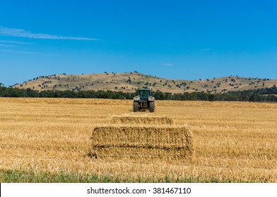 Agriculture Australian Scene. Tractor Stacking Hay Bales . Yellow Haystacks Of Straw On A Field, Agriculture Machinery Working On Australian Outback Farm