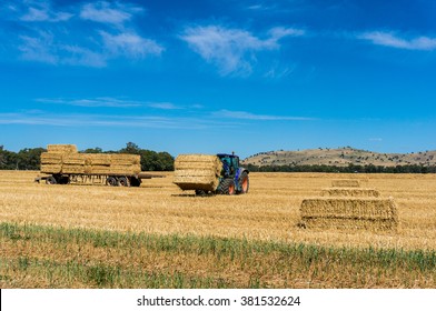 Agriculture Australian Scene. Tractor Stacking Hay Bales On Trailer. Yellow Haystacks Of Straw On A Field, Agriculture Machinery Working On Australian Outback Farm