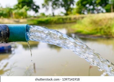 Irrigation In The Field Stock Photo  Download Image Now  Groundwater  Irrigation Equipment Water Pump  iStock