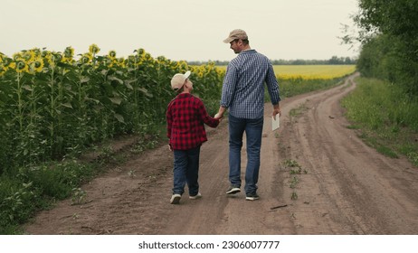 Agriculture. the boy walks along the road with his father by the hand. father farmer tablet. field yellow sunflowers. farmer's son schoolboy. agriculture. happy family concept. senior farmer boy hand - Powered by Shutterstock