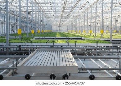 Agriculture business, horticulture. Contemporary efficient technologies. Modern large commercial greenhouse construction producing organic vegetables and lettuce. Sustainable farming. Greenery.  - Powered by Shutterstock