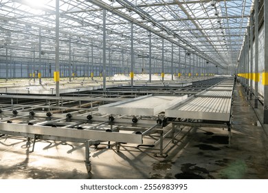 Agriculture business, horticulture. Contemporary efficient technologies. Modern large commercial greenhouse construction producing organic vegetables and lettuce. Sustainable farming. Greenery.  - Powered by Shutterstock