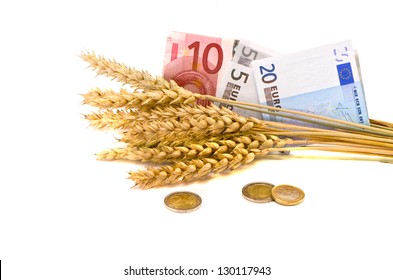 agriculture business symbol - wheat ears and euro isolated on white