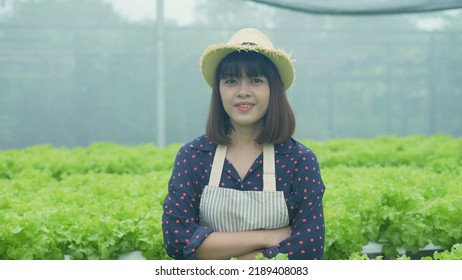 Agriculture Concept Of 4k Resolution. Asian Woman Explaining About Organic Vegetable Cultivation. Gardener's Confidence.