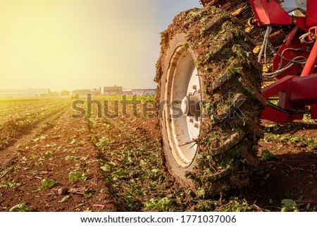 Agriculture concept. Tractor Wheel covered in mud and plowing field in the background.