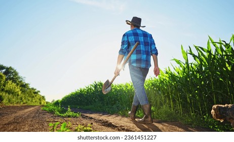 agriculture corn. farmer with a shovel walk along a corn field. business agriculture industry corn concept. farmer working in corn field. organic rural maize crop concept farm - Powered by Shutterstock