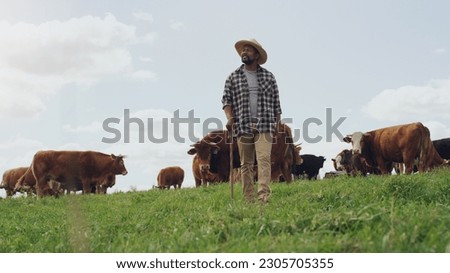 Agriculture, cow and black man thinking on farm, walking with stick and farming mockup. Land, cattle and African male farmer with livestock eating on grass field for milk, beef and meat production.