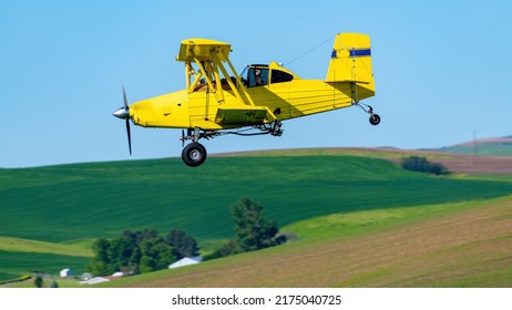 Agriculture Crop Duster Yellow Plane Flies Over Green Fields