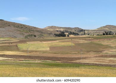 Agriculture and crop fields in Ethiopia