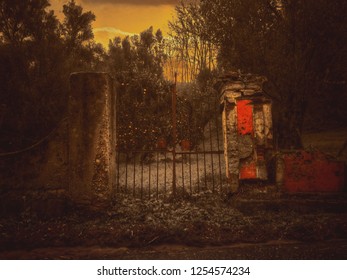 Agriculture In Decline, Rosarno, Calabria, Italia.