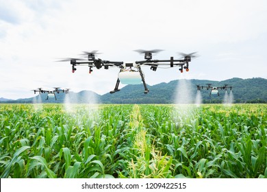 Agriculture drone fly to sprayed fertilizer on the sweet corn fields - Powered by Shutterstock