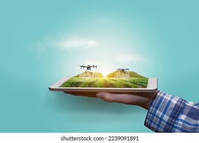 Agriculture drone fly to sprayed fertilizer on the Sugarcane fields. smart farmer use drone for various fields like research analysis, terrain scanning technology, smart technology concept. - Shutterstock ID 2239091891