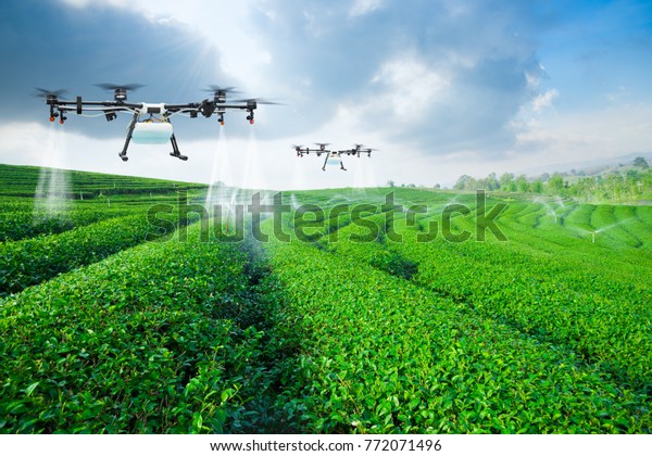Agriculture drone fly to sprayed fertilizer\
on the green tea fields, Smart farm 4.0\
concept