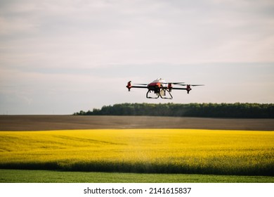 Agriculture Drone Flying On The Green Tea Field At Sunrise