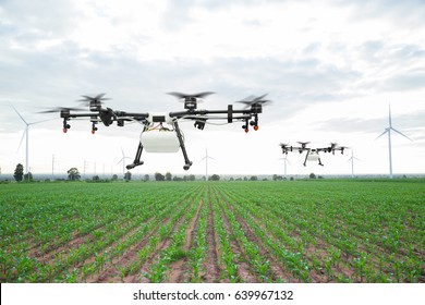 Agriculture Drone Flying On The Green Corn Field