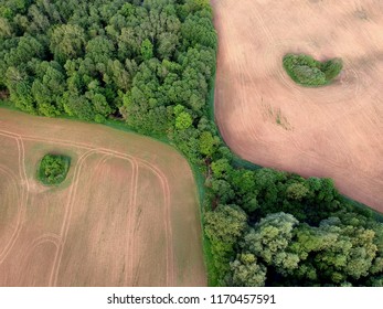 Agriculture farm cultivated fields and forest in spring, aerial view