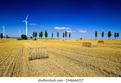 Agriculture farm field haystack harvest. Haystack harvest agriculture farm field scene. Agriculture farm field haystacks