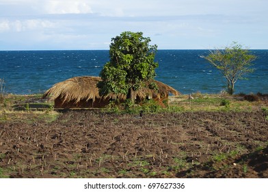 Agriculture Farm Mounds - Lake Malawi