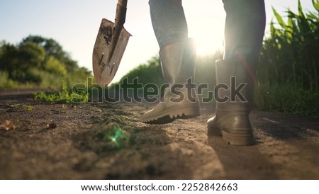 Agriculture, farmer agronomist walks through corn field. man works shovel in field. farmer shovel, farmer walks in boots. work of an agronomist in field with shovel tool. Agriculture in field.