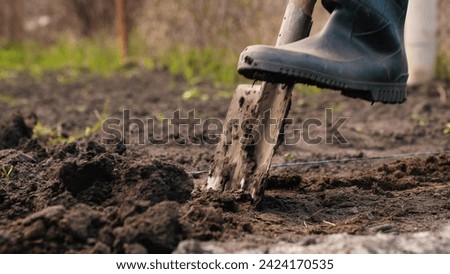 agriculture, farmer dripping soil foot rubber boots, ground, earth business, planting seedlings, farm worker digging ground shovel, soil shoveling, farmer garden work farm, male legs rubber boots