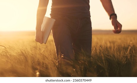 Agriculture. farmer with a laptop walks in an agricultural field of wheat at sunset. agriculture business concept. farmer walk with lifestyle tablet works in wheat field sunlight - Powered by Shutterstock