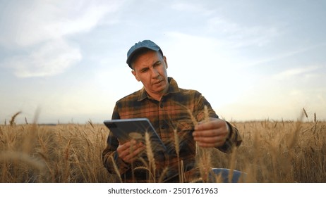 Agriculture. Farmer working with a tablet on wheat. Farm agriculture field concept. A male farmer is studying the wheat. lifestyle Male farmer working on a tablet while studying wheat. - Powered by Shutterstock