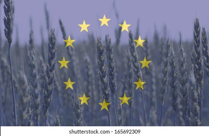 163,656 Europe farming Images, Stock Photos & Vectors | Shutterstock