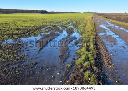 Agriculture field destruction by water erosion damage on crop or grain in farmland after rain landscape