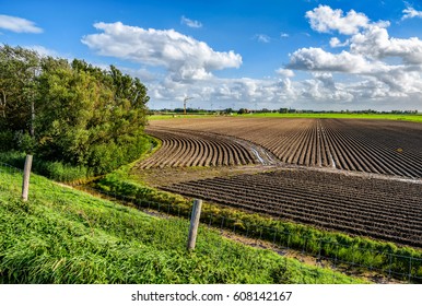 Agriculture Field Landscape, Farm Land