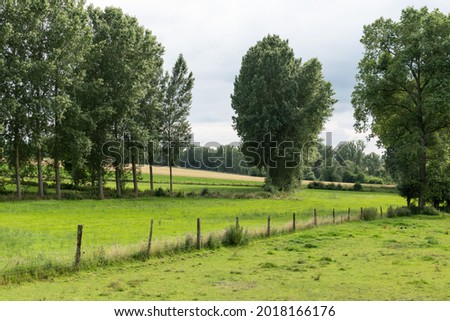 Agriculture fields, trees and green lawns at the Flemish countryside 