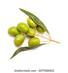 Agriculture of Gran Canaria -  small twigs of olive tree Olea europaea from Tirajana municipalities - Shutterstock ID 2079500422