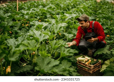 Agriculture, greenhouse farming and man on tablet, monitor plant growth or harvest time - Powered by Shutterstock