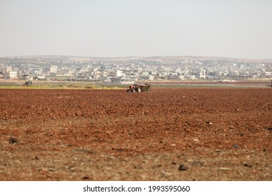 Agriculture In The Idlib Region, Northern Syria