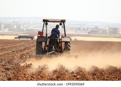 Agriculture In The Idlib Region, Northern Syria