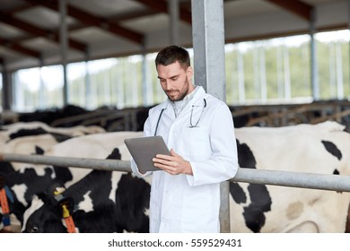 Agriculture Industry, Farming, People And Animal Husbandry Concept - Veterinarian Or Doctor With Tablet Pc Computer And Herd Of Cows In Cowshed On Dairy Farm