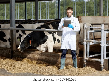 Agriculture Industry, Farming, People And Animal Husbandry Concept - Veterinarian Or Doctor With Tablet Pc Computer And Herd Of Cows In Cowshed On Dairy Farm