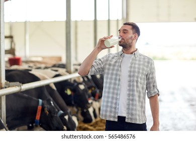 Agriculture Industry, Farming, People And Animal Husbandry Concept - Happy Young Man Or Farmer Drinking Cows Milk From Bottle In Cowshed On Dairy Farm