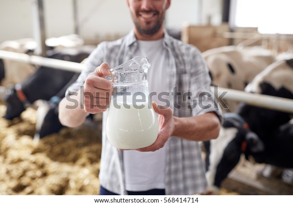 agriculture industry, farming, people and\
animal husbandry concept - happy smiling young man or farmer with\
cows milk in jug at cowshed on dairy\
farm