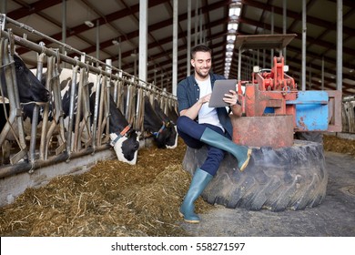 Agriculture Industry, Farming, People, Technology And Animal Husbandry Concept - Young Man Or Farmer With Tablet Pc Computer And Cows In Cowshed On Dairy Farm