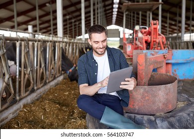 Agriculture Industry, Farming, People, Technology And Animal Husbandry Concept - Young Man Or Farmer With Tablet Pc Computer And Cows In Cowshed On Dairy Farm