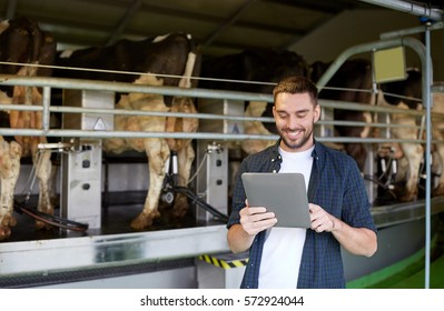 Agriculture Industry, Farming, People, Technology And Animal Husbandry Concept - Young Man Or Farmer With Tablet Pc Computer And Cows At Rotary Parlour System On Dairy Farm