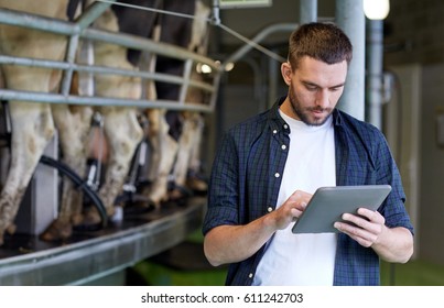 Agriculture Industry, Farming, People, Technology And Animal Husbandry Concept - Young Man Or Farmer With Tablet Pc Computer And Cows At Rotary Parlour System On Dairy Farm