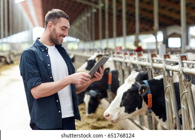 Agriculture Industry, Farming, People, Technology And Animal Husbandry Concept - Young Man Or Farmer With Tablet Pc Computer And Cows In Cowshed On Dairy Farm